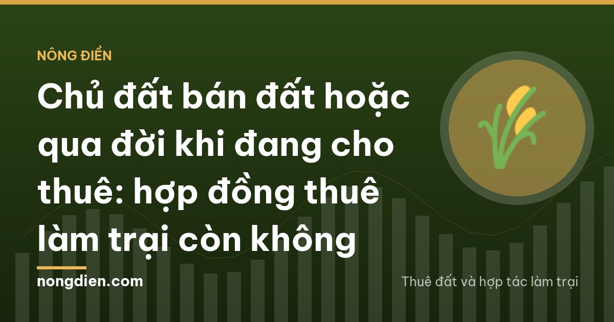 A rural family courtyard in Nghe An with relatives seated on low stools around a tray of tea, seen from far behind a jackfruit tree, overcast morning