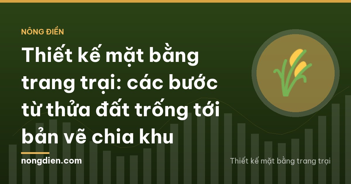 Thiết kế mặt bằng trang trại: các bước từ thửa đất trống tới bản vẽ chia khu